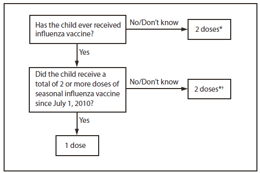 The figure shows influenza vaccine dosing algorithm for aged children 6 months through 8 years in the United States, during the 2012-13 influenza season. Children are recommended to receive 2 doses this season, even if 2 doses of seasonal influ?enza vaccine were received before the 2010-11 season. This is illustrated in two approaches for determining the number of doses required for children aged 6 months through 8 years, both of which are acceptable.