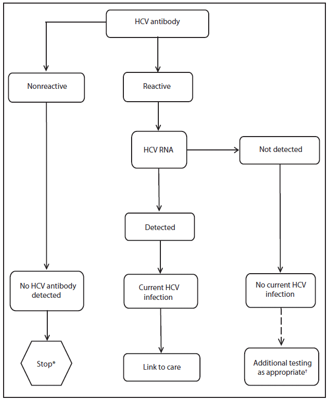 The figure shows the recommended testing sequence for identifying current hepatitis C virus (HCV) infection. Testing for HCV infection begins with either a rapid or a laboratory-conducted assay for HCV antibody in blood. A nonreactive HCV antibody result indicates no HCV antibody detected. A reactive result indicates one of the following: 1) current HCV infection, 2) past HCV infection that has resolved, or 3) false positivity. A reactive result should be followed by nucleic acid testing for HCV RNA. If HCV RNA is detected, that indicates current HCV infection. If HCV RNA is not detected, that indicates either past, resolved HCV infection, or false HCV antibody positivity.
