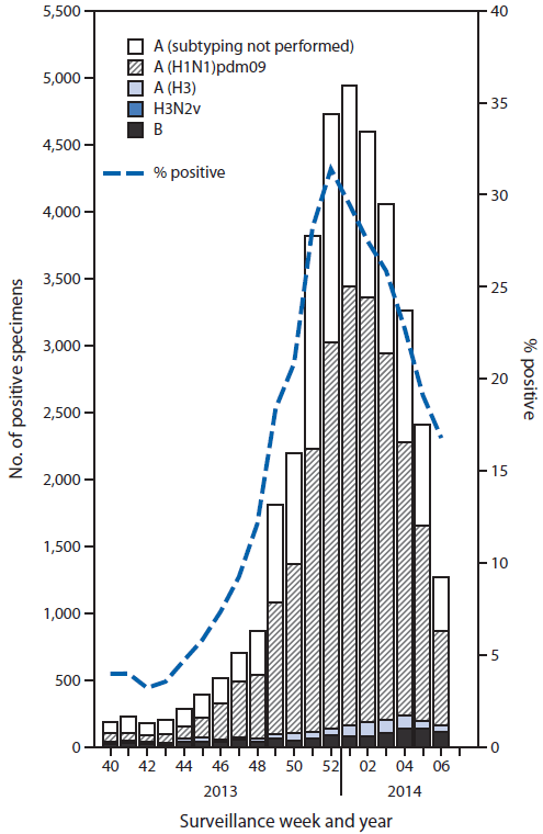 The figure above shows the number and percentage of respiratory specimens testing positive for influenza, by type, surveillance week, and year in the United States during 2013–14. During September 29, 2013–February 8, 2014, approxi?mately 140 World Health Organization and National Respiratory and Enteric Virus Surveillance System collaborat?ing laboratories in the United States tested 189,123 respiratory specimens for influenza viruses; 36,619 (19%) were positive.