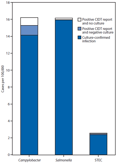 The figure above is a bar chart showing incidence of culture-confirmed bacterial infections and positive culture-independent diagnostic test (CIDT) reports, by selected pathogen in the United States during 2012-2013. The incidence of culture-confirmed infections with Campylobacter was 14.1 per 100,000 population, compared with 2.1 for positive CIDT reports with no culture or negative culture. For Salmonella, the incidence was 16.0 per 100,000 population for culture-confirmed infections and 0.2 for positive CIDT reports with no culture or negative culture, and for Shiga toxin-producing Escherichia coli, the incidence was 2.4 per 100,000 population for culture-confirmed infec?tions and 0.21 for positive CIDT reports with no culture or negative culture.
