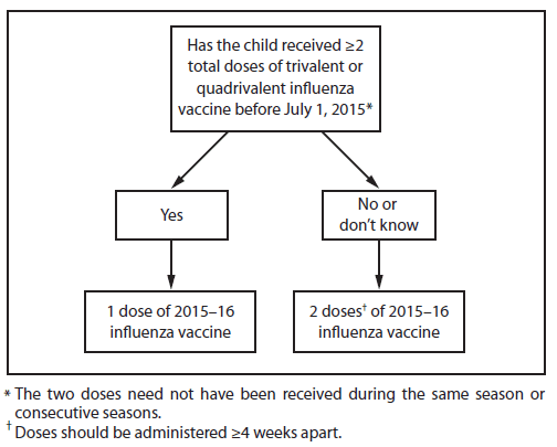 The figure above is a flow chart showing an influenza vaccine dosing algorithm for children aged 6 months through 8 years in the United States for the 2015-16 influenza season. An asterisk footnote symbol appears at the end of the statement, "Has the child received ?2 total doses of trivalent or quadrivalent influenza vaccine before July 1, 2015?" The corresponding footnote reads, "The 2 doses need not have been received during the same season or consecutive seasons." Also, a dagger footnote symbol appears immediately after the phrase "2 doses" in the following statement, "2 doses of 2015-16 influenza vaccine." The corresponding footnote reads, "Doses should be administered 4 weeks apart."