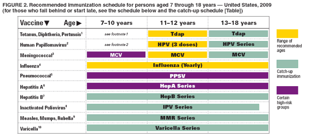 FIGURE 2. Recommended immunization schedule for persons aged 7 through 18 years ?United States, 2009
(for those who fall behind or start late, see the schedule below and the catch-up schedule [Table])