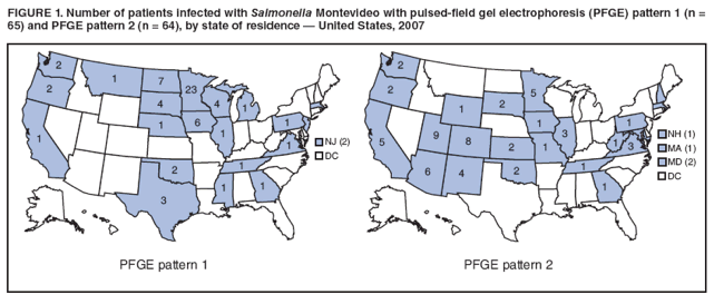 FIGURE 1. Number of patients infected with Salmonella Montevideo with pulsed-field gel electrophoresis (PFGE) pattern 1 (n = 65) and PFGE pattern 2 (n = 64), by state of residence ?United States, 2007