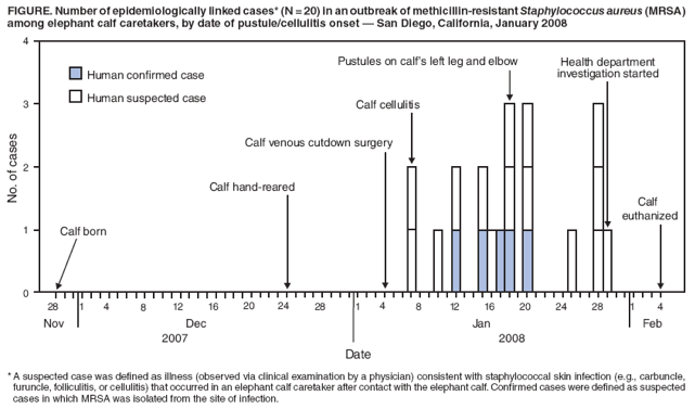 FIGURE. Number of epidemiologically linked cases* (N = 20) in an outbreak of methicillin-resistant Staphylococcus aureus (MRSA) among elephant calf caretakers, by date of pustule/cellulitis onset ?San Diego, California, January 2008