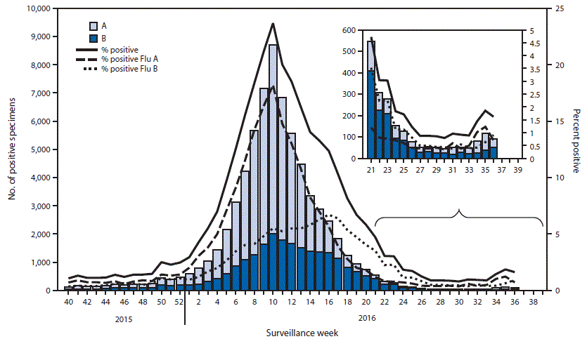 The figure above is a combination histogram and line graph showing the number and percentage of respiratory specimens testing positive for influenza reported by clinical laboratories, by type and week, in the United States during October 4, 2015âSeptember 10, 2016.