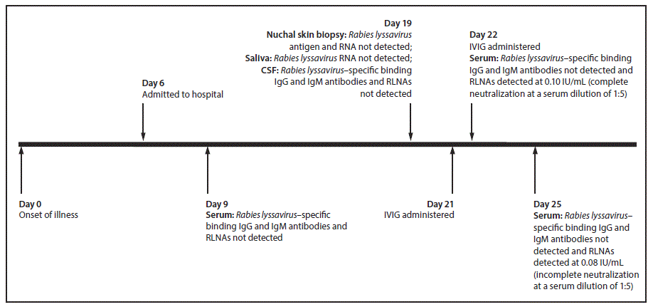 mm6705a3-F1 The figure above shows a timeline of events for a patient with autoimmune encephalitis who met Council of State and Territorial Epidemiologists criteria for diagnosis of human rabies and had recently received intravenous immune globulin.