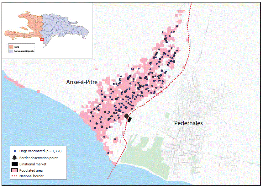 mm6832a6-F The figure is a map showing the border towns of Anse-à-Pitre, Haiti, and Pedernales, Dominican Republic, with locations of 1,331 dogs vaccinated for rabies during 2019 and the binational market and observation point used during the rabies response investigation.