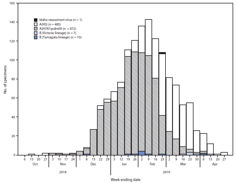 influenza The figure is a histogram, an epidemiologic curve showing the number of respiratory specimens testing positive for influenza reported by Idaho Bureau of Laboratories(N = 1,375), by influenza virus type, subtype/lineage, and surveillance week, in Idaho during October 6, 2018–April 27, 2019.