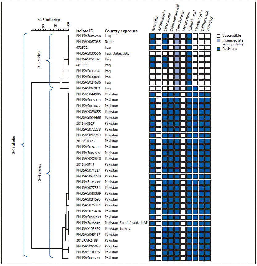 Core Genome Multilocus Sequence Yyping (cgMLST) Phylogenetic Tree 39 Salmonella Typhi Isolates Travel Iran Iraq Pakistan The figure is a core genome multilocus sequence typing phylogenetic tree of 39 Salmonella Typhi isolates from two strains with ceftriaxone resistance among persons with travel to Iran, Iraq, and Pakistan in the United States and United Kingdom during 2017–2019.