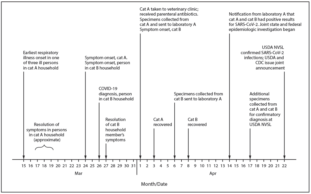 mm6923e3-F The figure is a timeline showing events related to SARS-CoV-2 infections in two domestic cats kept as pets in two different households in New York during March 15–April 22, 2020.