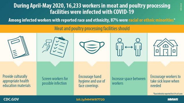 Update: COVID-19 Among Workers in Meat and Poultry Processing Facilities ― United States, April–May 2020 The figure describes COVID-19 cases among workers in meat and poultry processing facilities and ways to reduce occupational risk.