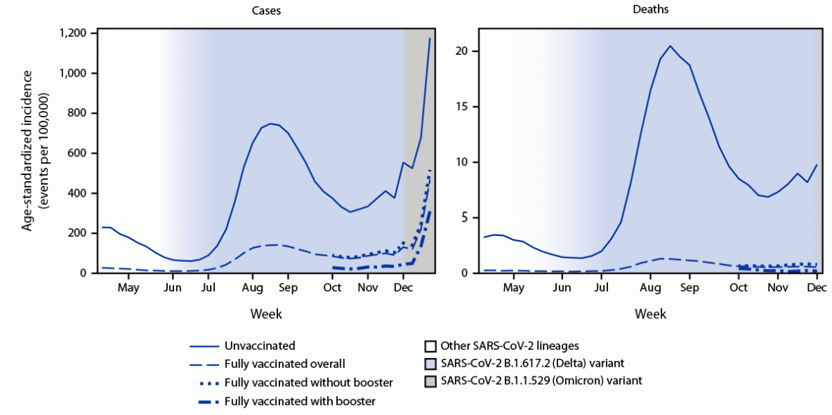 COVID-19 Incidence and Death Rates Among Unvaccinated and Fully Vaccinated Adults with and Without Booster Doses During Periods of Delta and Omicron Variant Emergence — 25 U.S. Jurisdictions, April 4–December 25, 2021 The figure is a two-panel line graph illustrating the weekly trends in age-standardized incidence of COVID-19 cases (during April 4–December 25, 2021) and deaths (during April 4–December 4, 2021) for unvaccinated compared with fully vaccinated persons overall and by receipt of booster doses in 25 U.S. jurisdictions as well as the national weighted estimates of variant proportions.
