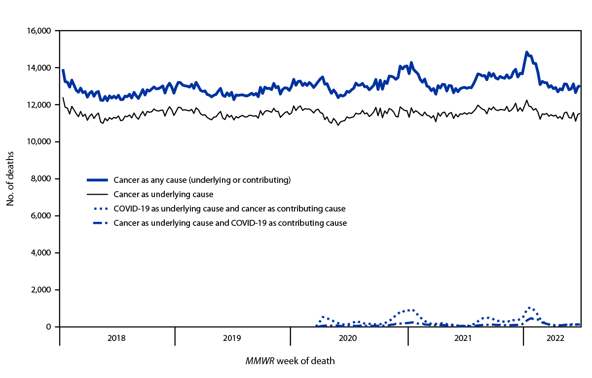 COVID-19 and Other Underlying Causes of Cancer Deaths — United States, January 2018–July 2022 The figure is a line chart showing number of cancer deaths with cancer or COVID-19 as the underlying or contributing cause of death, by MMWR week of death during January 7, 2018–July 2, 2022, in the United States.