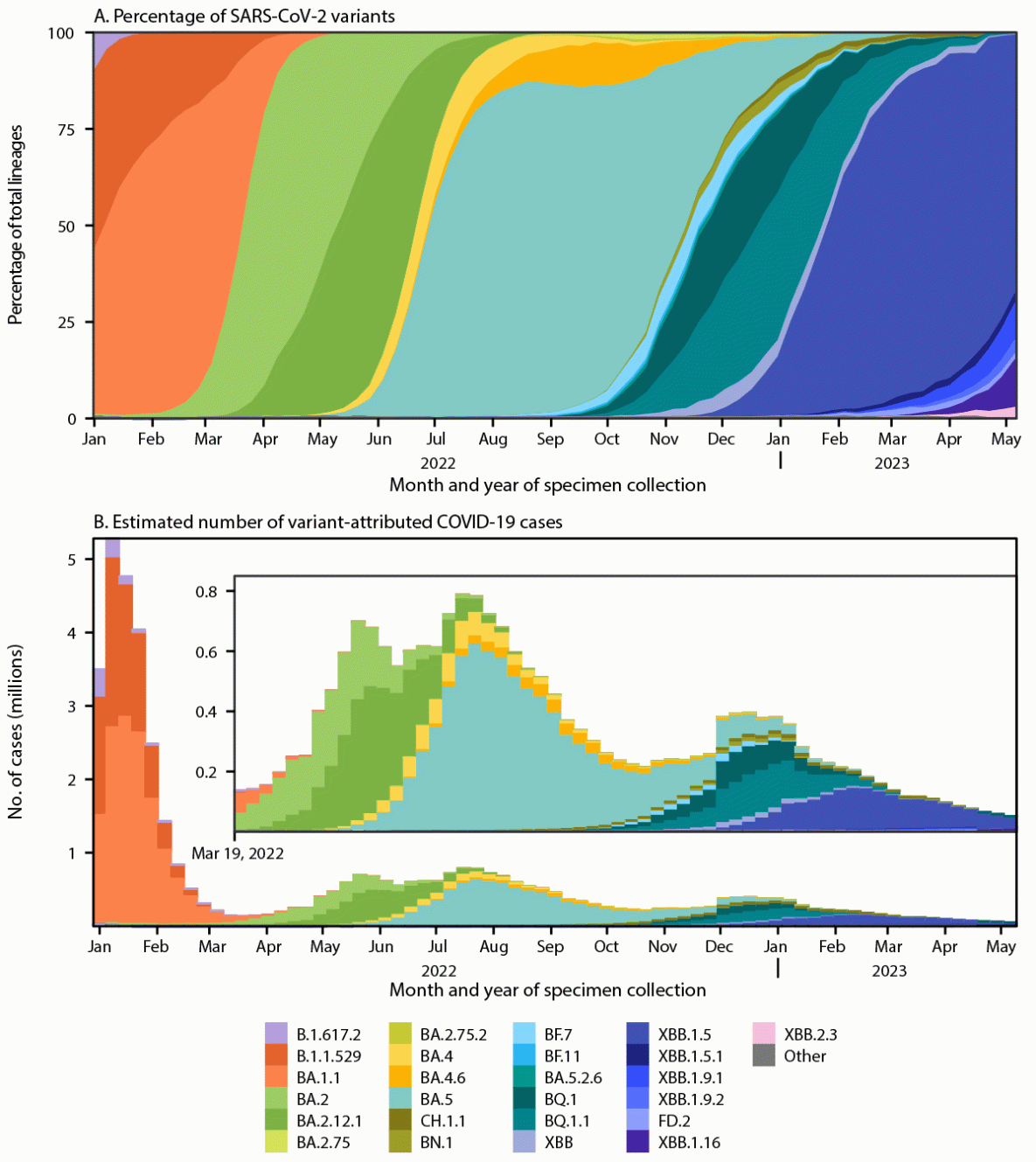 Genomic Surveillance for SARS-CoV-2 Variants: Circulation of Omicron Lineages — United States, January 2022–May 2023 Figure 1 comprises two panels, the first of which is an area chart illustrating national weekly proportion estimates of SARS-CoV-2 variants. The second is a bar chart illustrating estimated numbers of cases attributed to each variant in the United States during January 2, 2022–May 13, 2023.