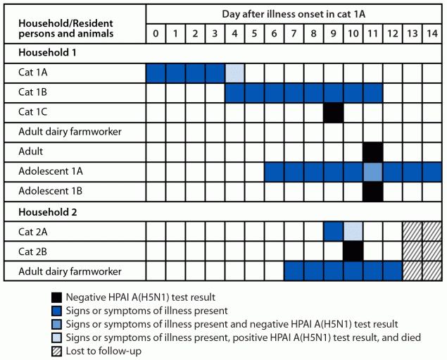 Figure is a chart illustrating the testing, signs, and symptoms in cats and household members of domestic indoor cats infected with highly pathogenic avian influenza A(H5N1) virus, clade 2.3.4.4b genotype B3.13 (n = 2) in Michigan during 2024.