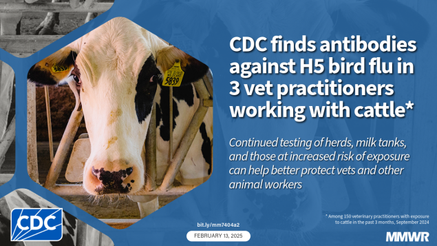 Notes from the Field: Seroprevalence of Highly Pathogenic Avian Influenza A(H5) Virus Infections Among Bovine Veterinary Practitioners — United States, September 2024 The image shows a cow on a farm with text that reads, “CDC finds antibodies against H5 bird flu in 3 vet practitioners working with cattle.”