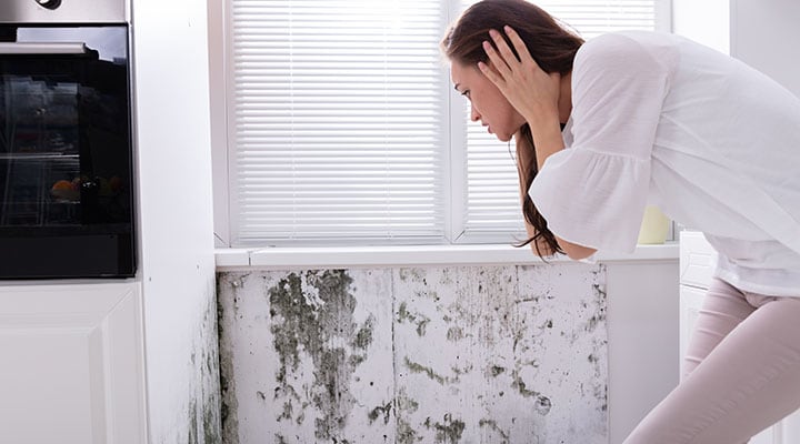 Mold in Your Home