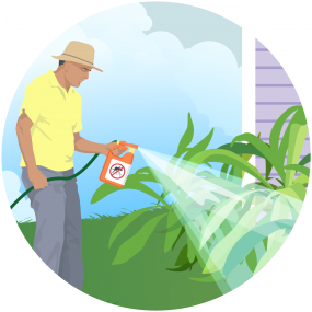 Adulticide-spraying Illustration of a man spraying adulticide outdoors.