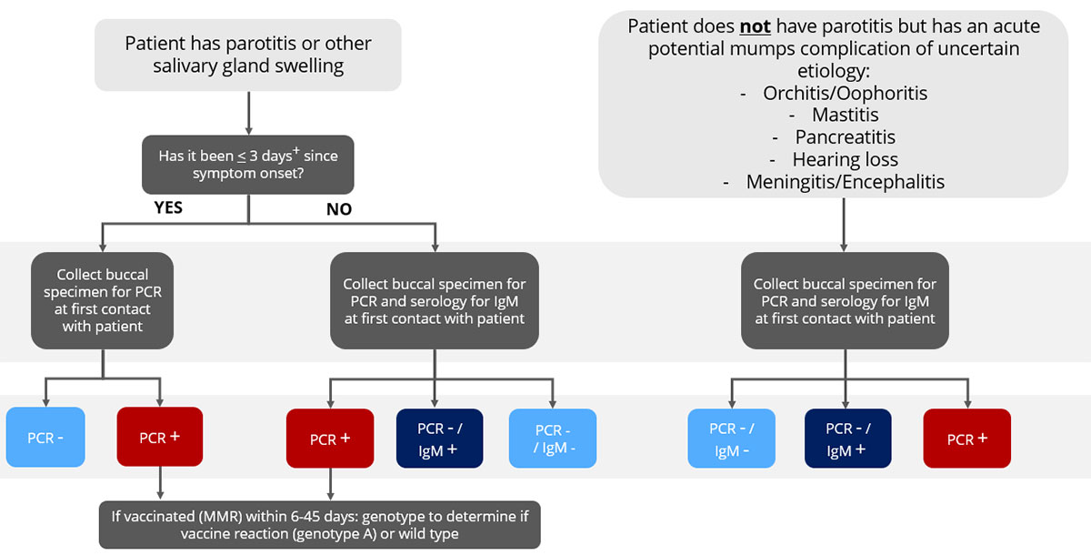 mumps-sporadic-flowchart Sporadic (no epidemiologic-link, not outbreak-related) mumps testing flowchart
