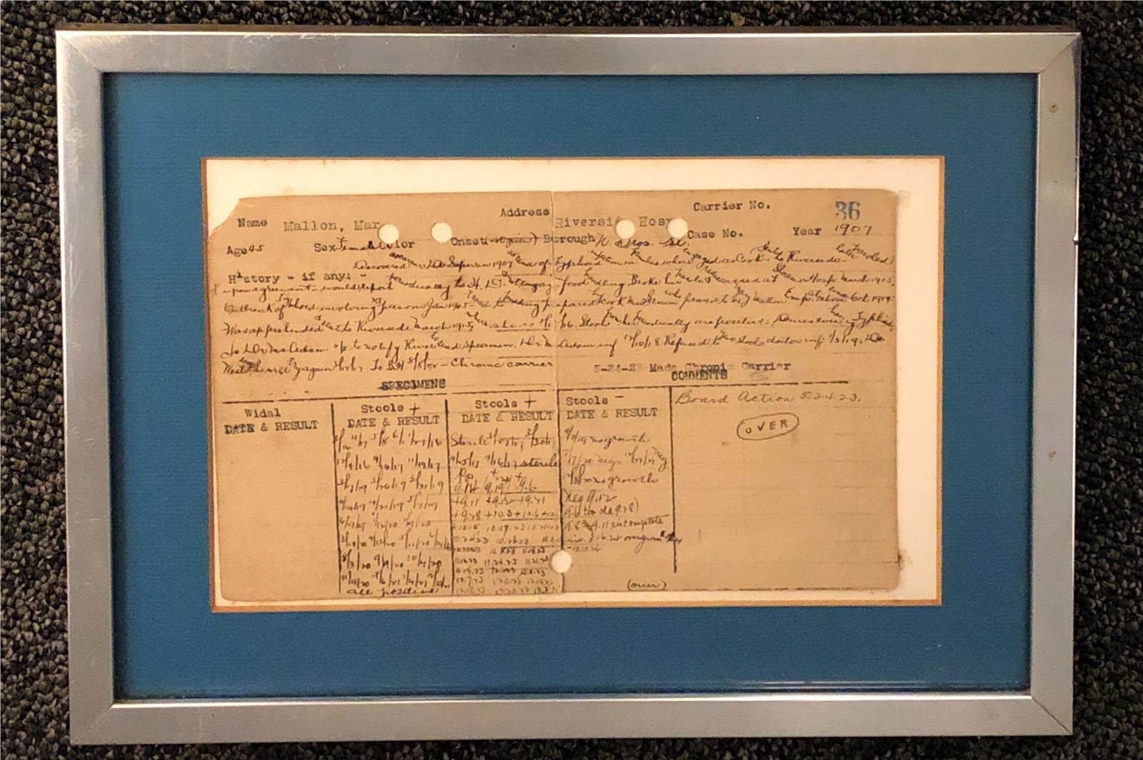 museum-collection-typhoid-mary2 Typhoid Mary’s carrier card