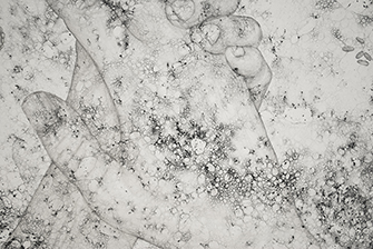 artists keeping well Artists Keeping Well