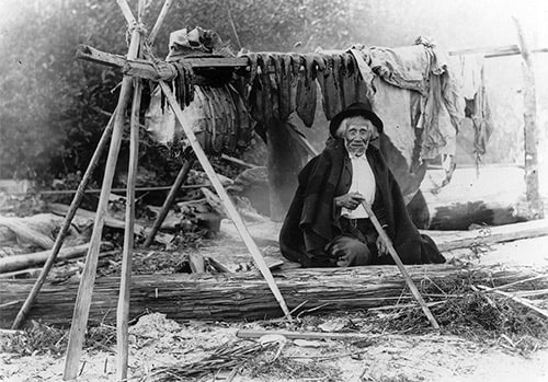 University of Washington Libraries; photograph by Norman Edson - Salishan man William We-ah-lup smoking salmon, Tulalip Indian Reservation, Washington, 1906 - With the implementation of commodity government food assistance programs, Native Americans lost time-honored cultural practices and food traditions. Erosion of healthy eating and subsequent poor health resulted. However, through persistent protest and public awareness, tribes such as those of the Pacific Northwest, fought for protection of fishing rights and today teach traditional fishing, food preparation, and environmental stewardship to Indian youth. 