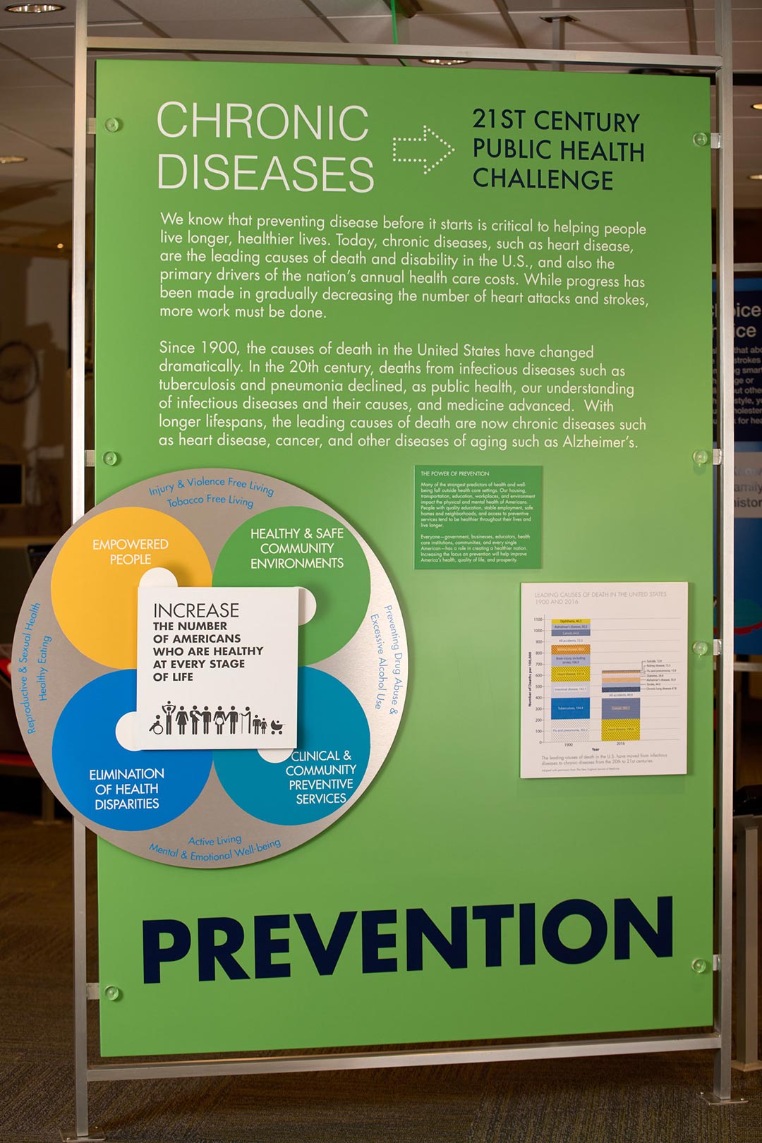 chronic-diseases-installation-1080px chronic diseases installation