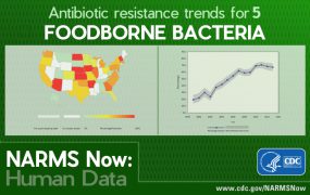 15_322822_NARMS-nowTool- Antibiotic resistance trends for 5 Foodborne Bacteria - NARMS Now: Human Data