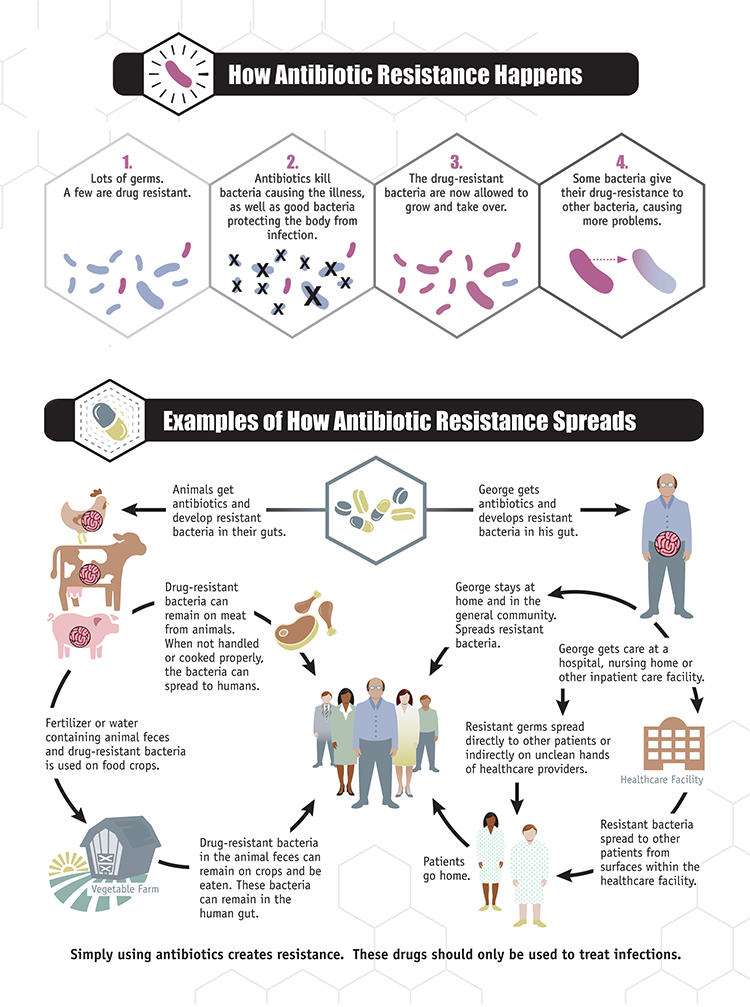 antibiotic-resistance-spread-300px.jpg Graphic: Example of how antibiotic resistance spreads