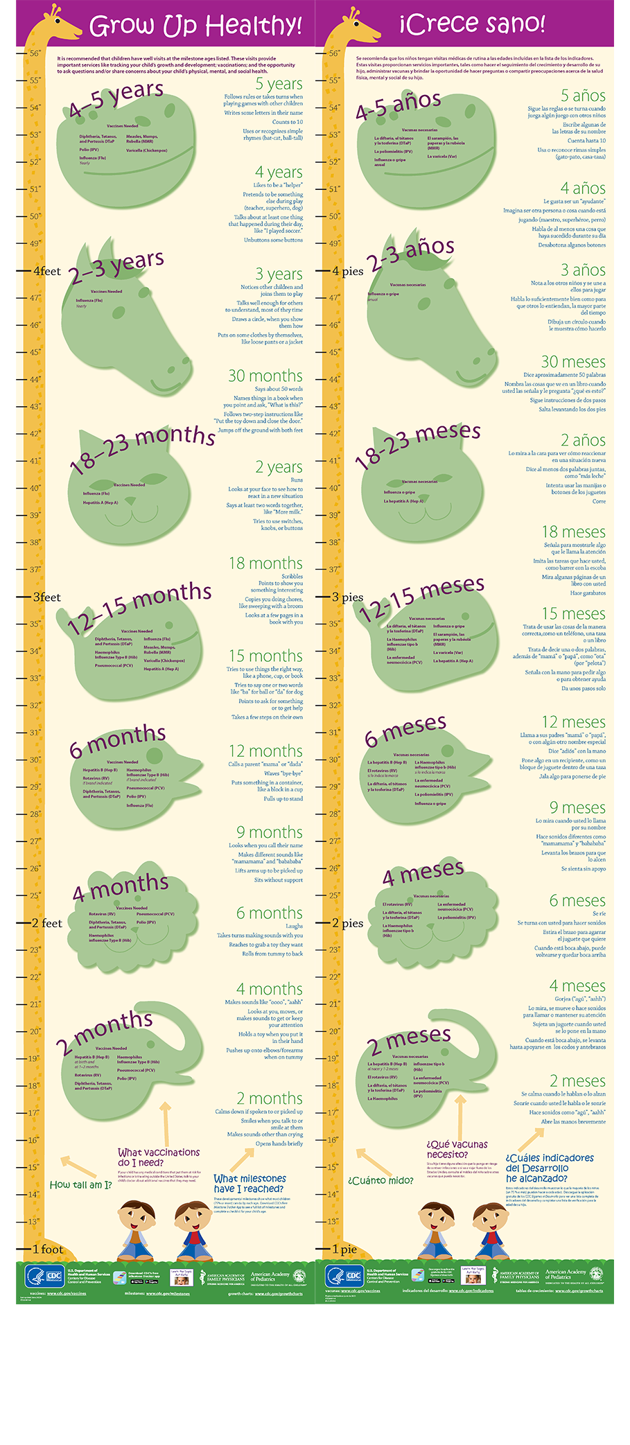 chart-en-sp-186 growth chart English & Spanish