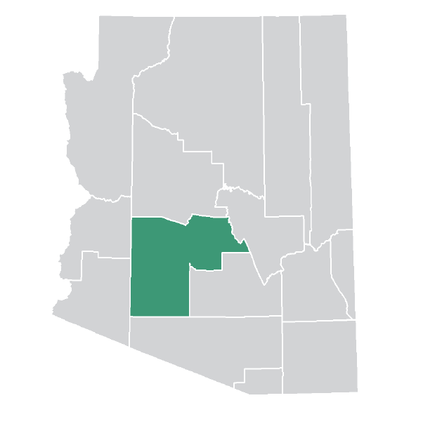 State of Arizona State of Arizona