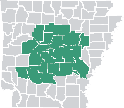 State of Arkansas State of Arkansas