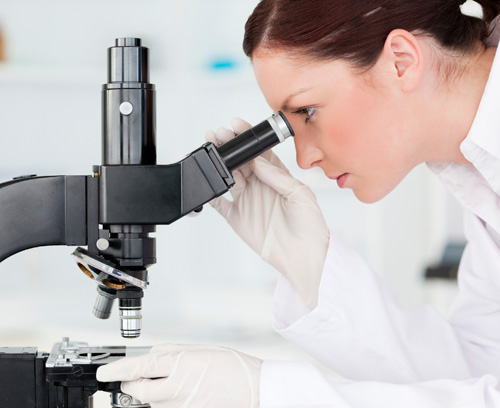microscope-lab-500px.jpg Lab worker looking through microscope