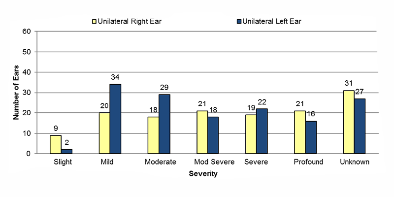 14-09-unilateral-type-unknown Among unilateral type unknown cases, in the right ear, 9 had slight, 20 had mild, 18 had moderate, 21 had moderately severe, 19 had severe, 21 had profound and 31 had an unknown severity of hearing loss. In the left ear, 2 had slight, 34 had mild, 29 had moderate, 18 had moderately severe, 22 had severe, 16 had profound and 27 had an unknown severity of hearing loss.