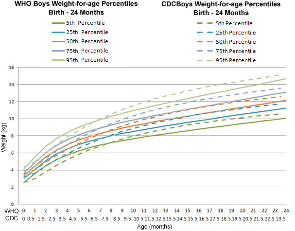 The horizontal axis shows the age in months from 0 to 24 months.
The vertical axis shows the weight in kilograms from 0 to 16 kilograms (kg). 
The solid lines represent the WHO boys weight for age percentiles. 
The dark green line represents the 5th percentile. It starts at over 2 kg at 0 months and ends at 10 kg at 24 months. 
The dark blue line represents the 25th percentile. It starts at about 3 kg at 0 months and ends at about 11 kg at 24 months. 
The orange line represents the 50th percentile. It starts at over 3 kg at 0 months and ends at about 12 kg at 24 months. 
The light blue line represents the 75th percentile. It starts at under 4 kg at 0 months and ends at about 13 kg at 24 months.  
The light green line represents the 95th percentile. It starts at over 4 kg at 0 months and ends at over 14 kg at 24 months. 
The dashed lines represent the CDC boys weight for age percentiles. 
The dashed dark green line represents the 5th percentile. It starts at over 2 kg at 0 months and ends at over 10 kg at 23.5 months. 
The dashed dark blue line represents the 25th percentile. It starts at about 3 kg at 0 months and ends at over 11 kg at 23.5 months. 
The dashed orange line represents the 50th percentile. It starts at over 3 kg at 0 months and ends at over 12 kg at 23.5 months. 
The dashed light blue line represents the 75th percentile. It starts at about 4 kg at 0 months and ends at over 13 kg at 23.5 months.  
The dashed light green line represents the 95th percentile. It starts at over 4 kg at 0 months and ends at about 15 kg at 23.5 months.

