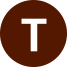T_icon T