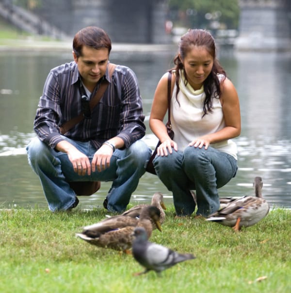 Couple feeding ducks at a pond