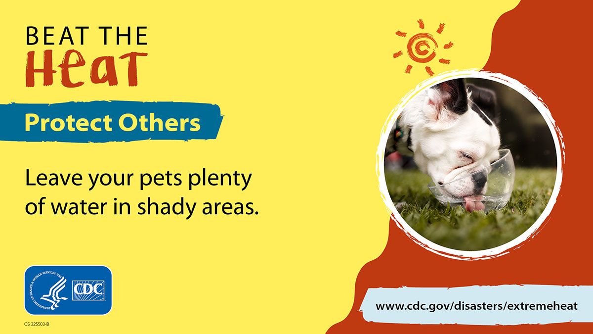 Beat The Heat - Protect Others: Pets Beat The Heat. Protect Pets. Leave your pets plenty of water in shady areas. More info at www.cy118119.com/disasters/extremeheat/