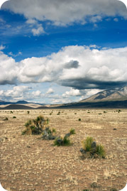 New Mexico desert landscape