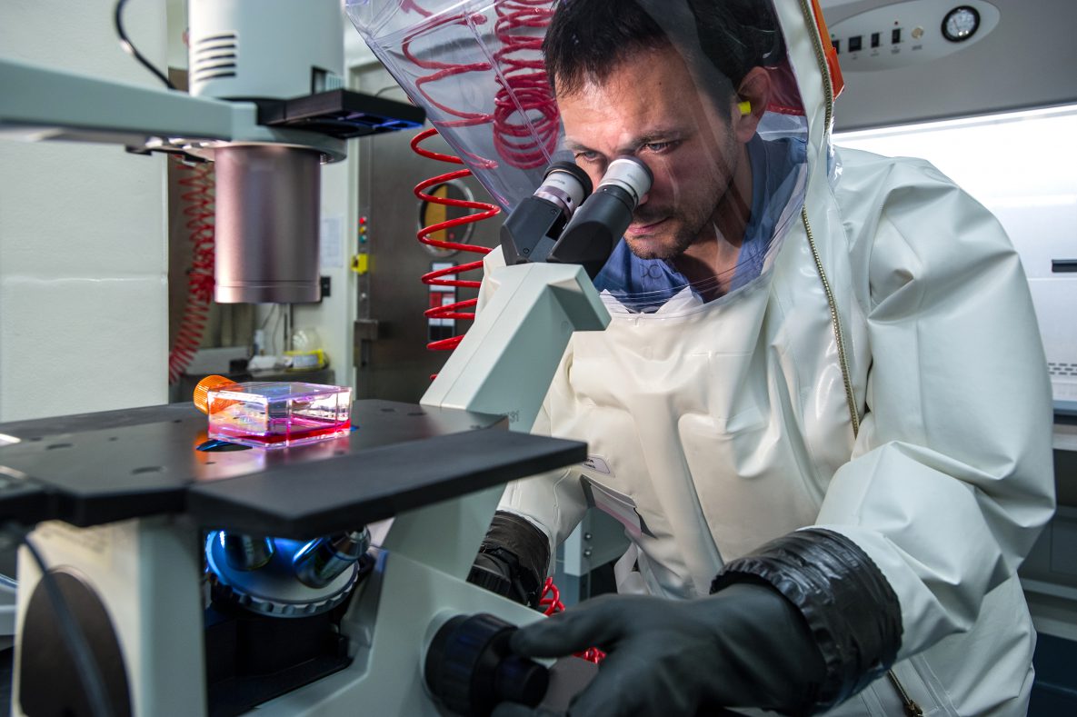 Man at microscope