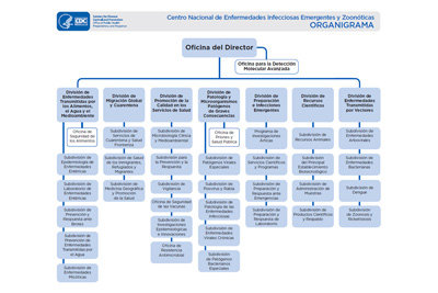 ncezid organigrama
