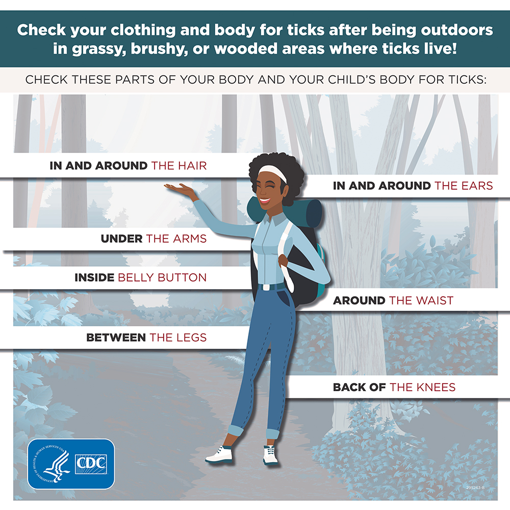 Check for Ticks After Being Outdoors An illustration to check for ticks in your environment.