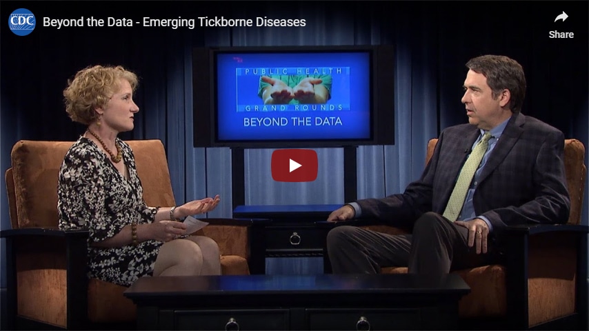 Beyond the data interview Beyond the data interview