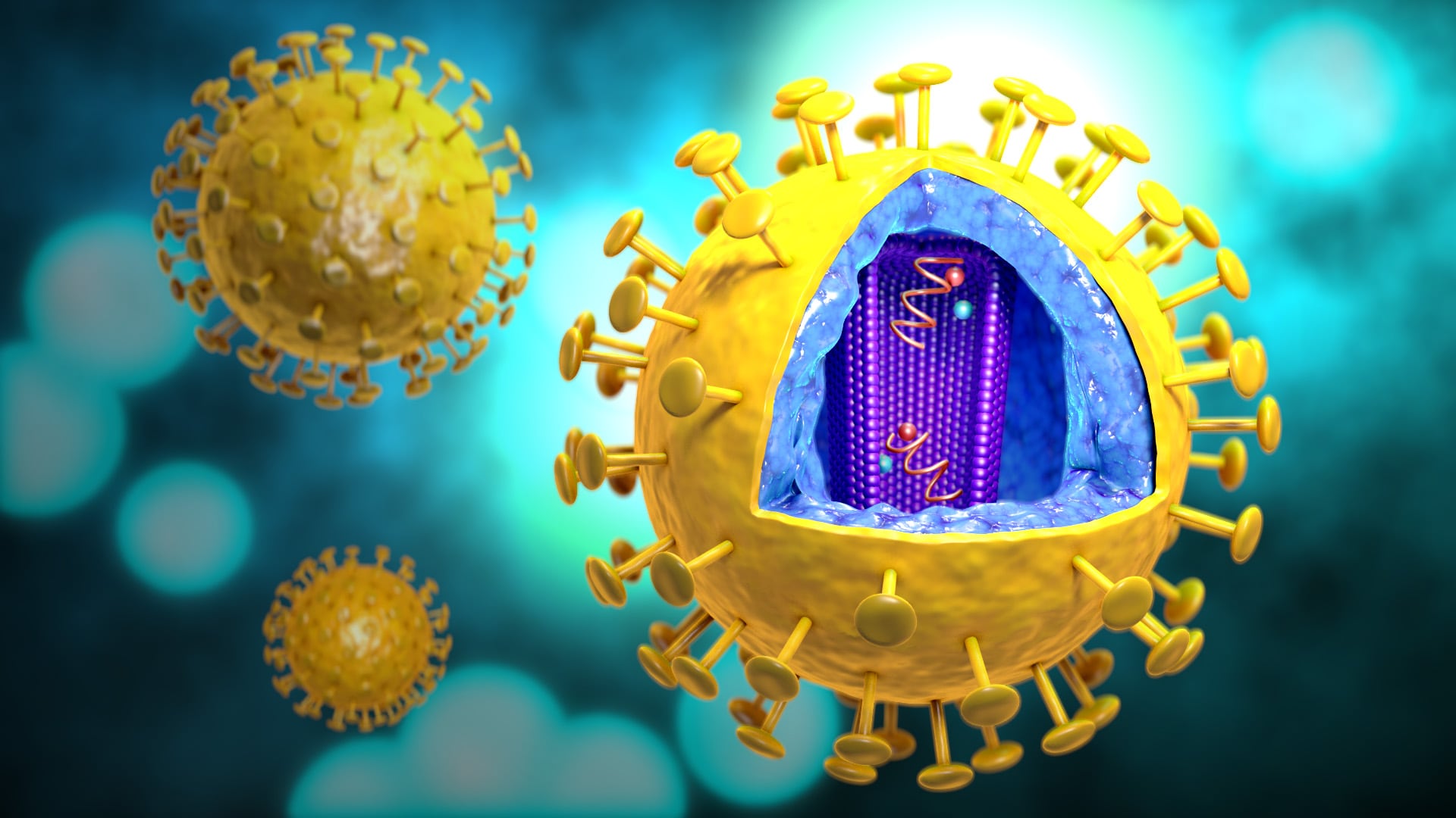 Illustration of the Human Immunodeficiency Virus