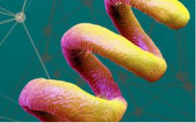 Syphilis Surveillance Supplemental Slides