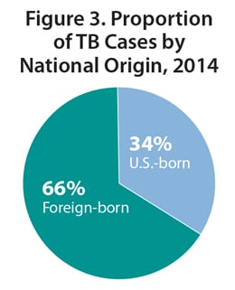 This pie chart shows the proportion of reported TB cases in the United States broken down by national origin in 2014. The proportion of TB cases among foreign-born persons was 66% and 34% among U.S.-born persons.