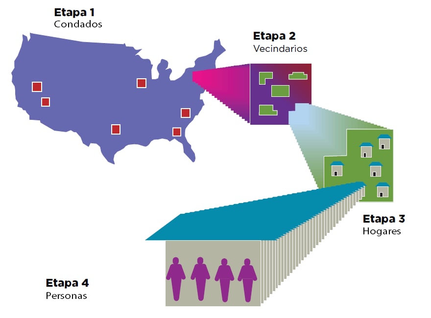 participant-sampling-es image of sampling cycle
