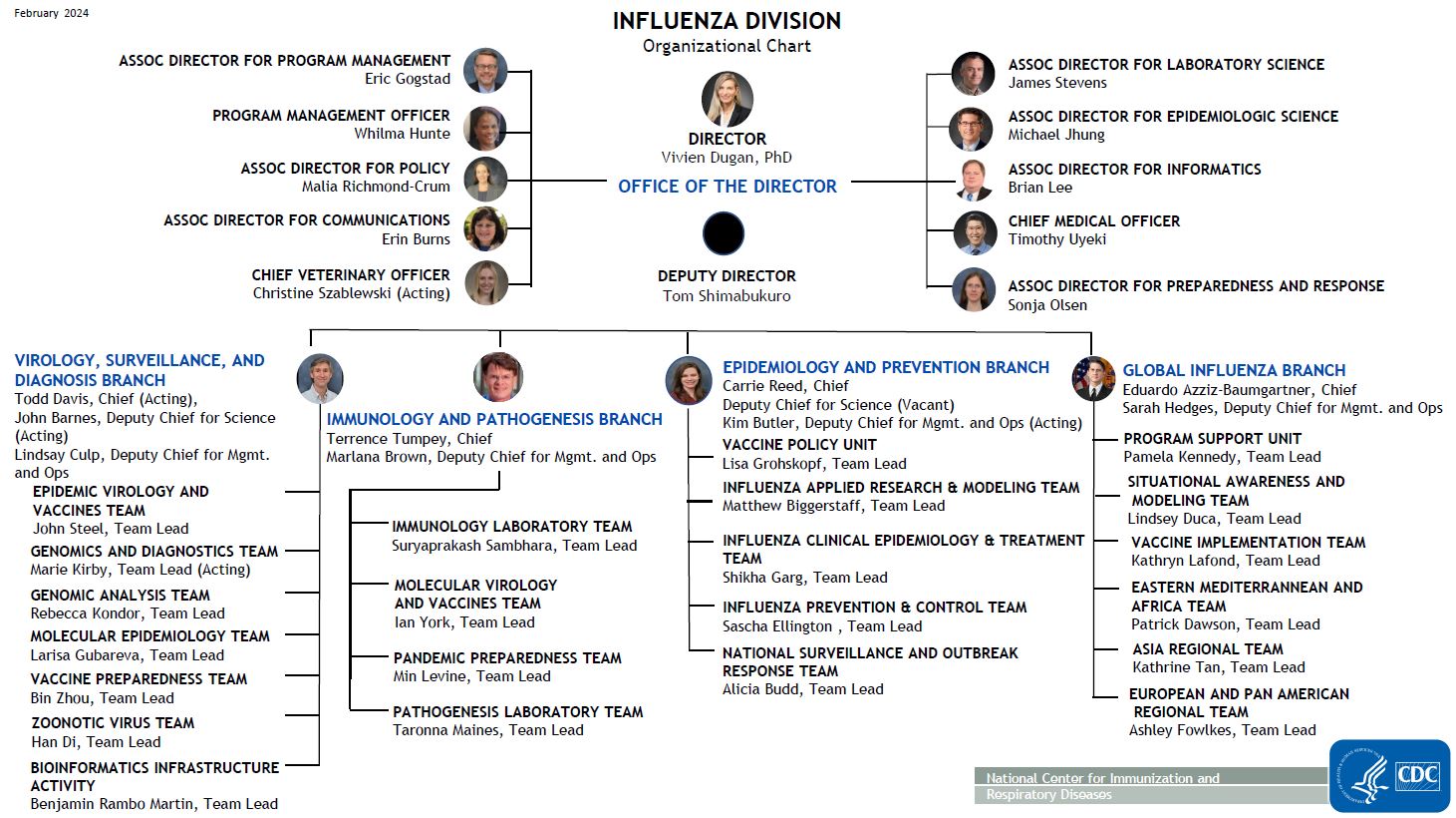 Influenza Division Organizational Chart