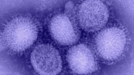 Flu A microscopic view of the flu virus shown in shades of purple.