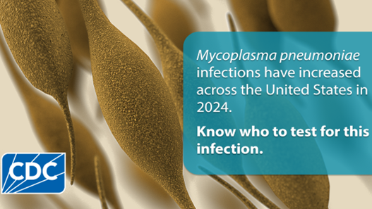 mycoplasma pneumoniae Mycoplasma pneumoniae illustration. Text says "Mycoplasma pneumoniae infections have increased across the United States in 202. Know who to test for this infection."
